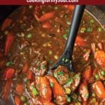 pin image design for slow cooker beef stew