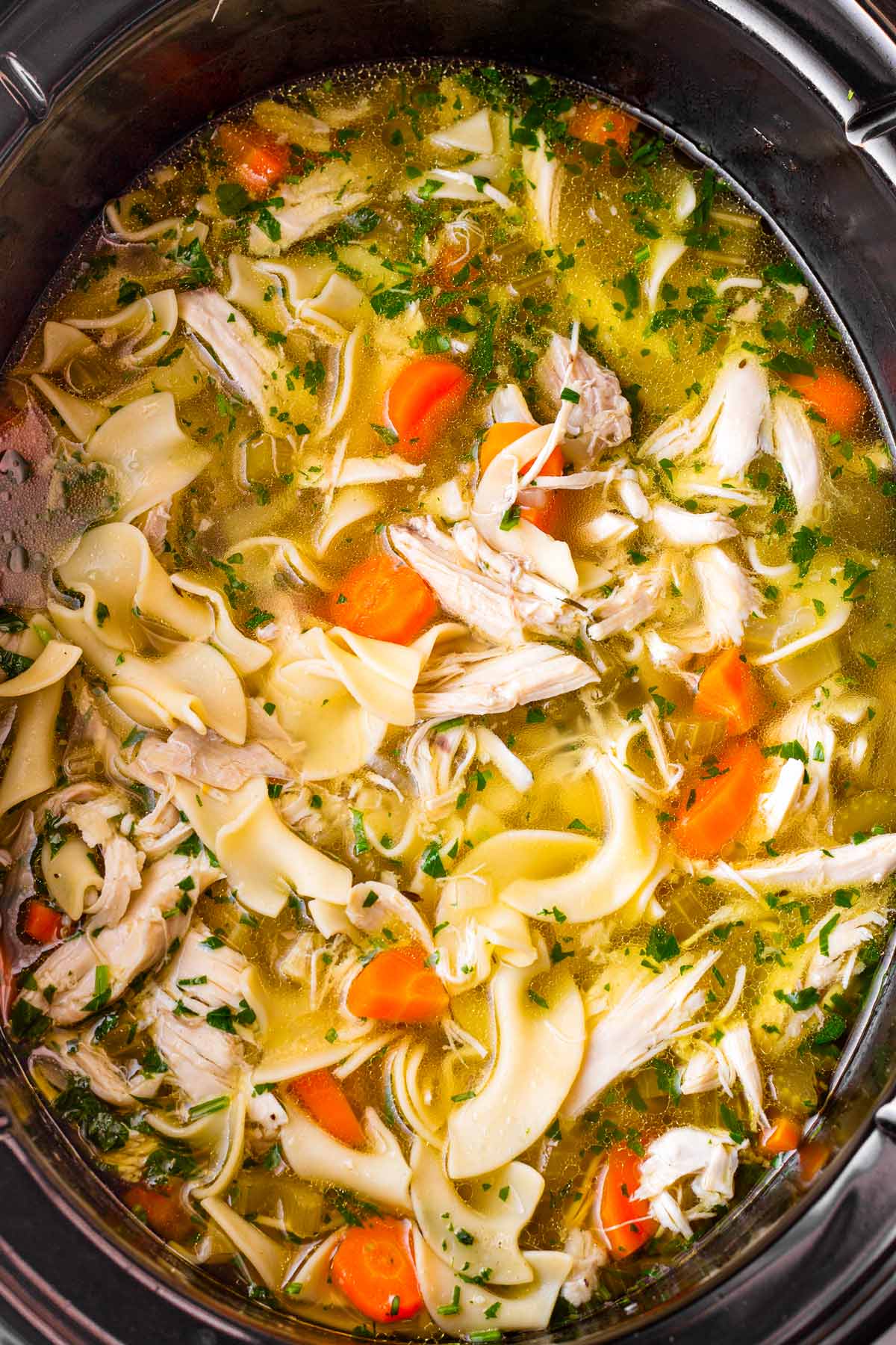 slow cooker chicken noodle soup with egg noodles and carrots
