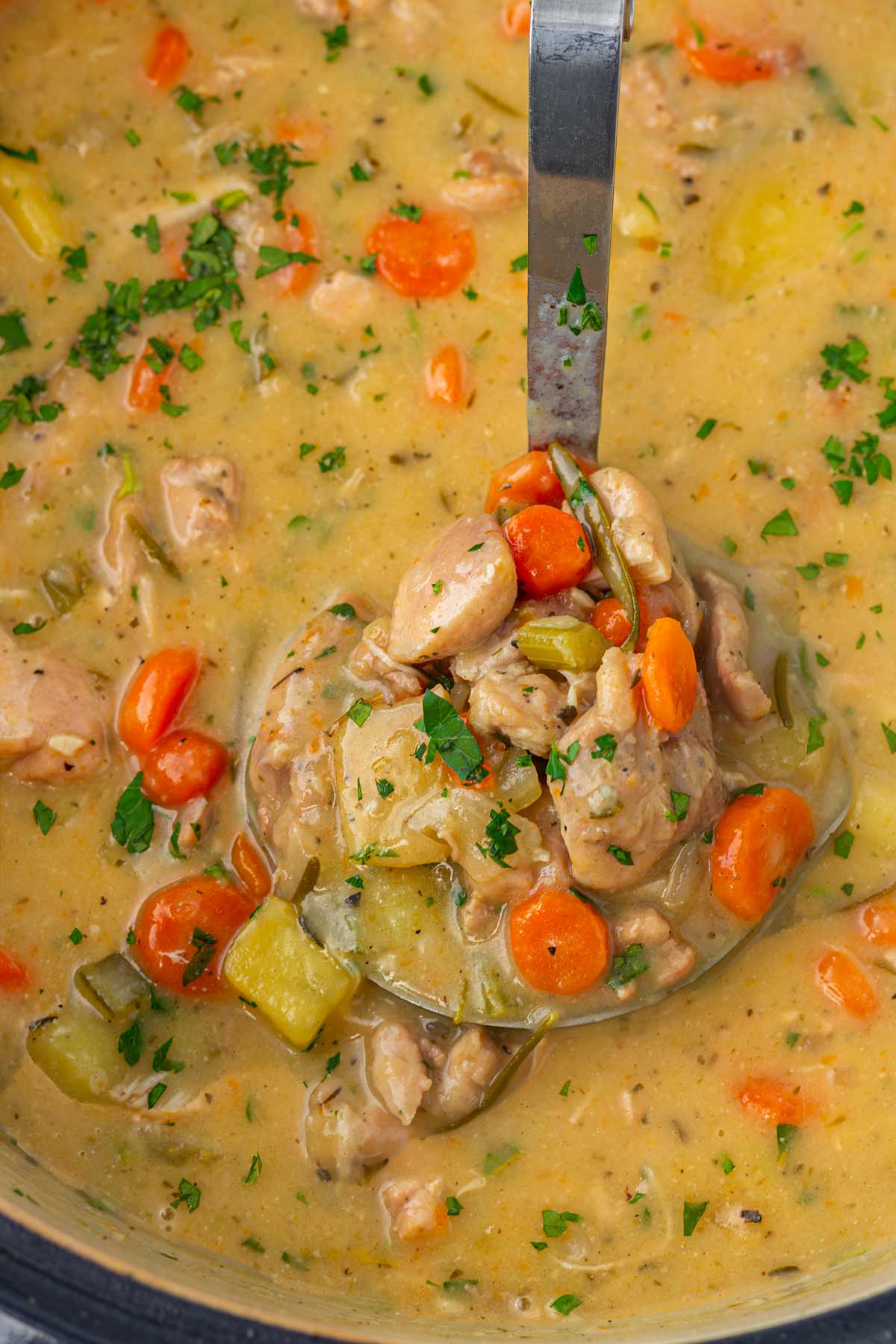 a ladle with hearty chicken stew in dutch oven