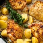 dutch oven braised chicken thighs with potatoes and leeks