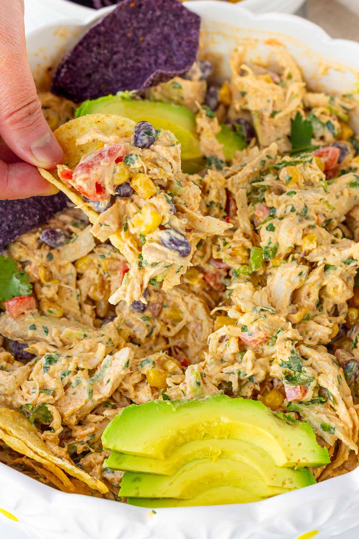 scooping southwest chicken salad dip with tortilla chips