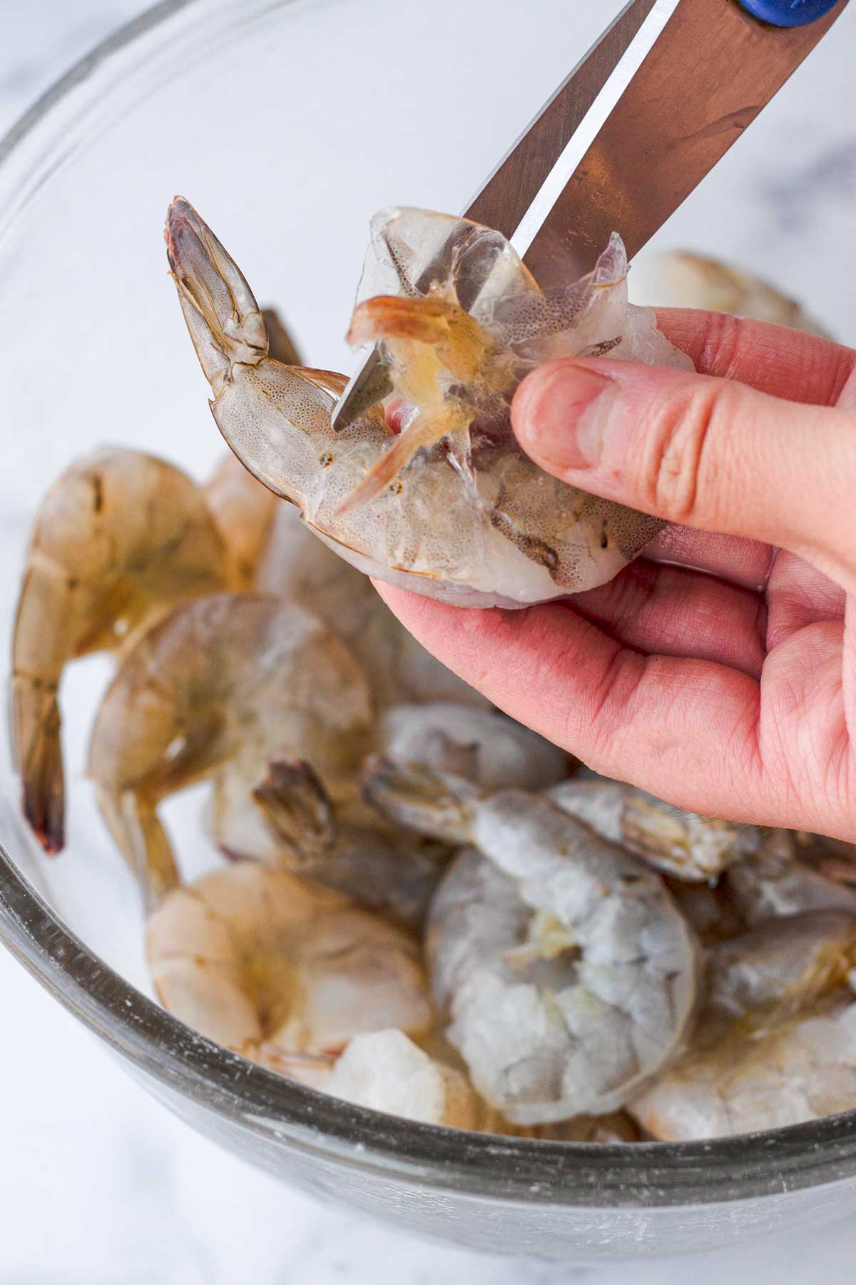 removing the shell from jumbo shrimp