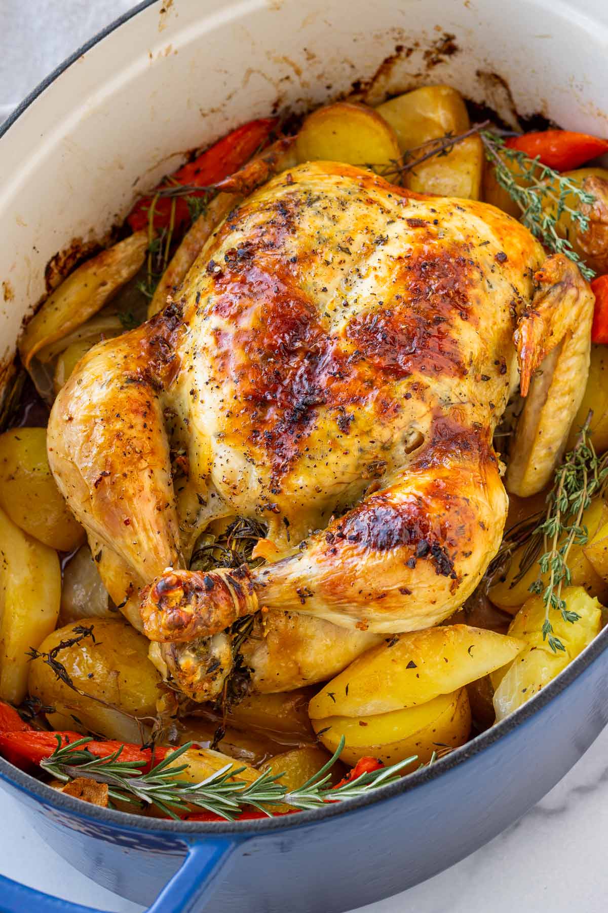 dutch oven whole chicken with bed of vegetables
