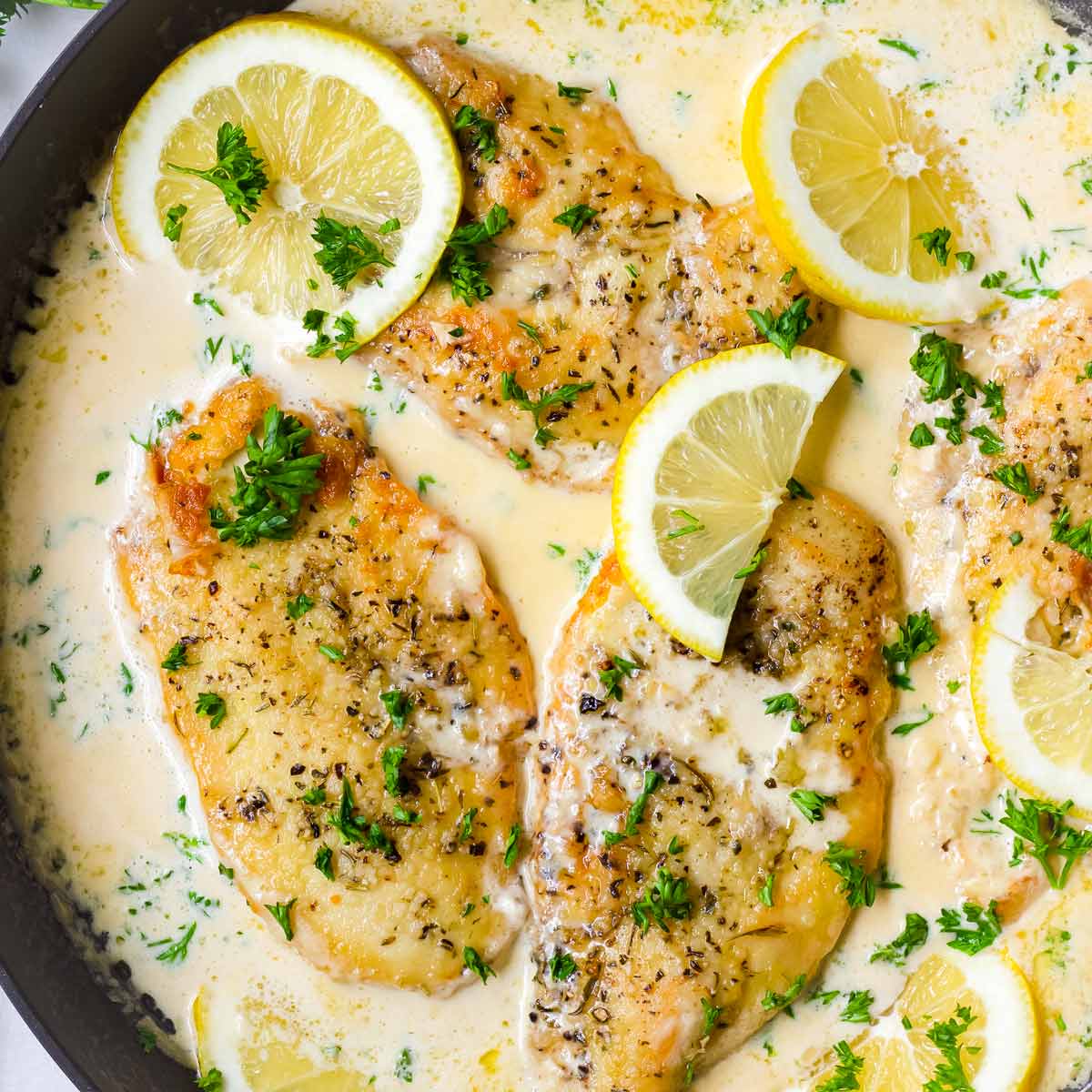 one pan creamy lemon chicken dish