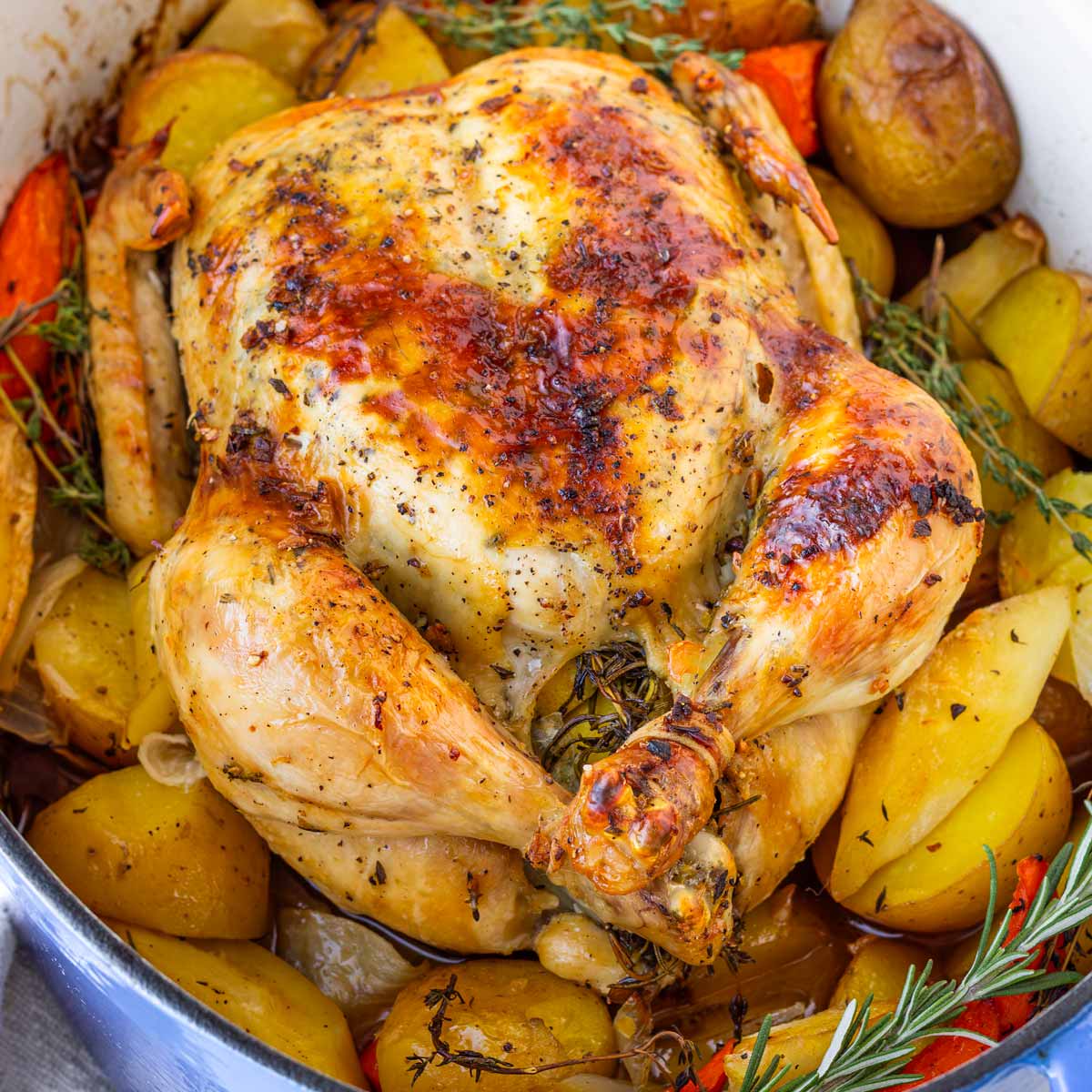 dutch oven roast whole chicken with vegetables