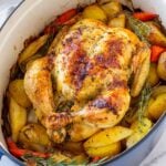 dutch oven chicken with vegetables