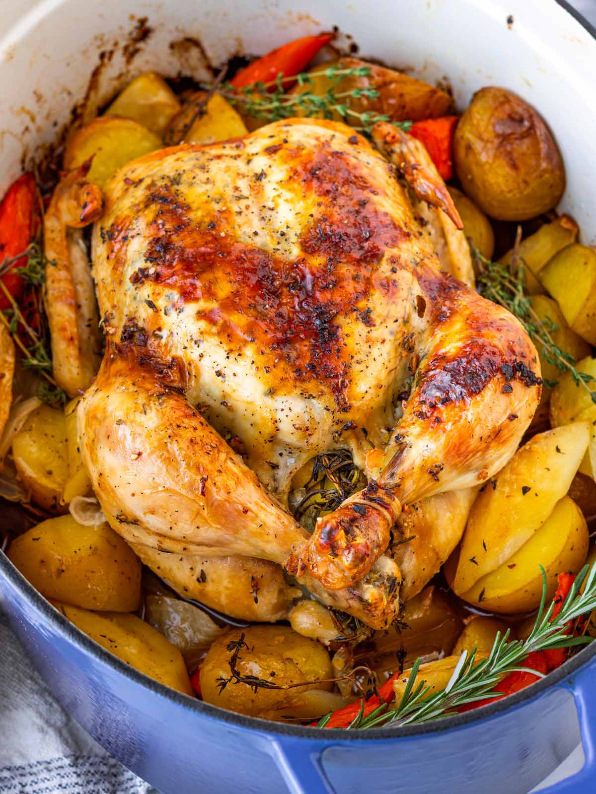 dutch oven whole roast chicken in large oval enameled cast iron