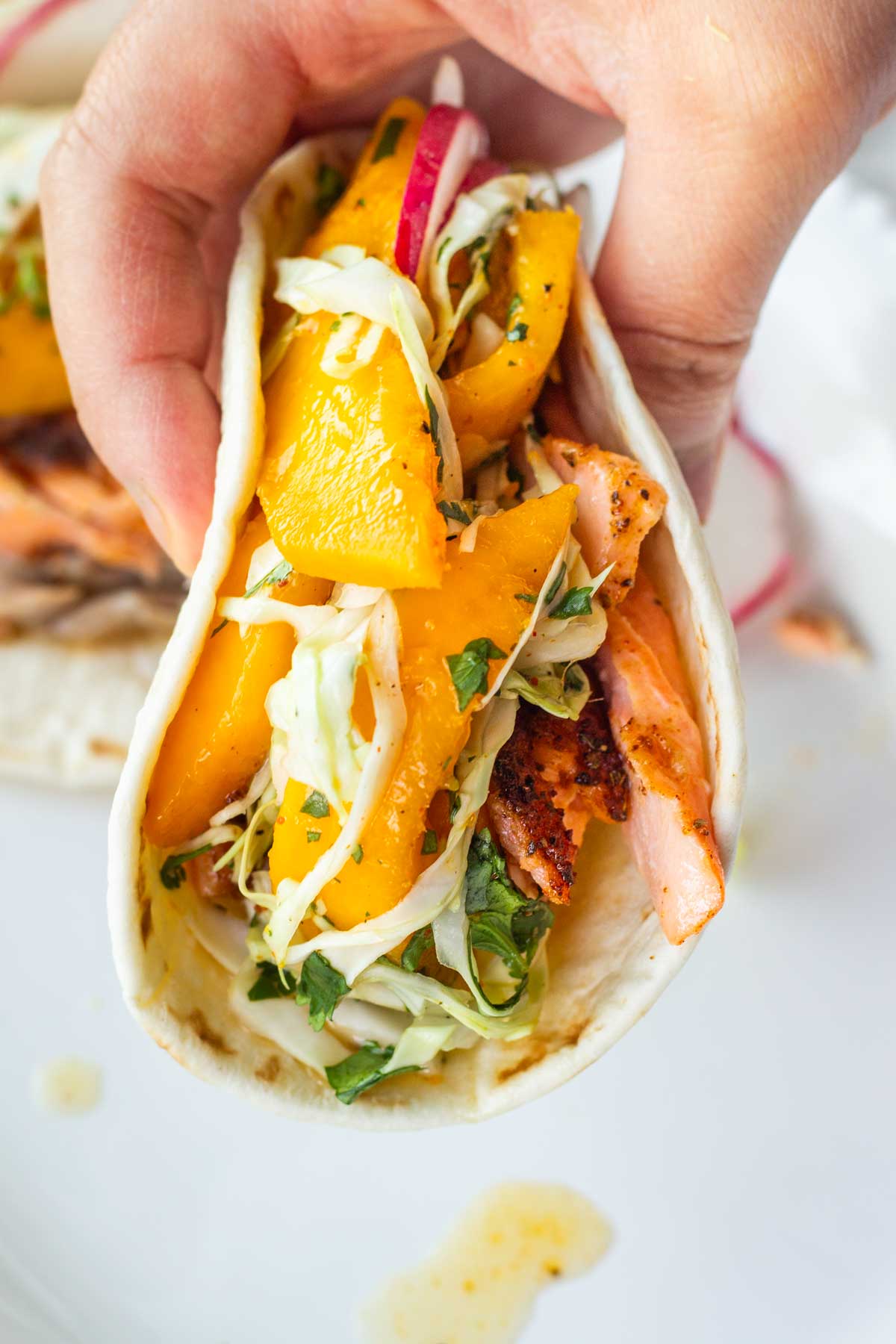 holding a salmon taco