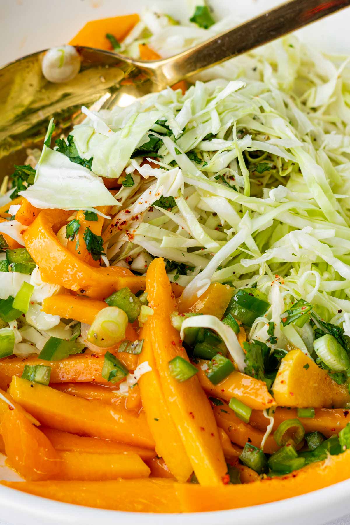 mixing the slaw in bowl with a golden spoon