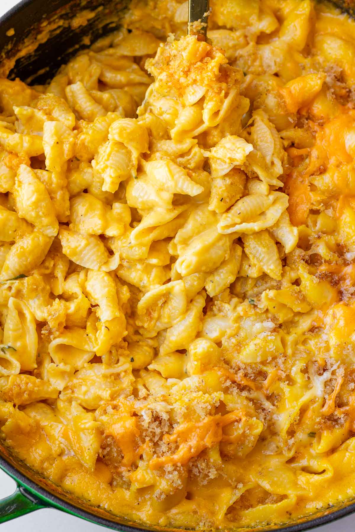 creamy butternut squash mac and cheese with pasta shells