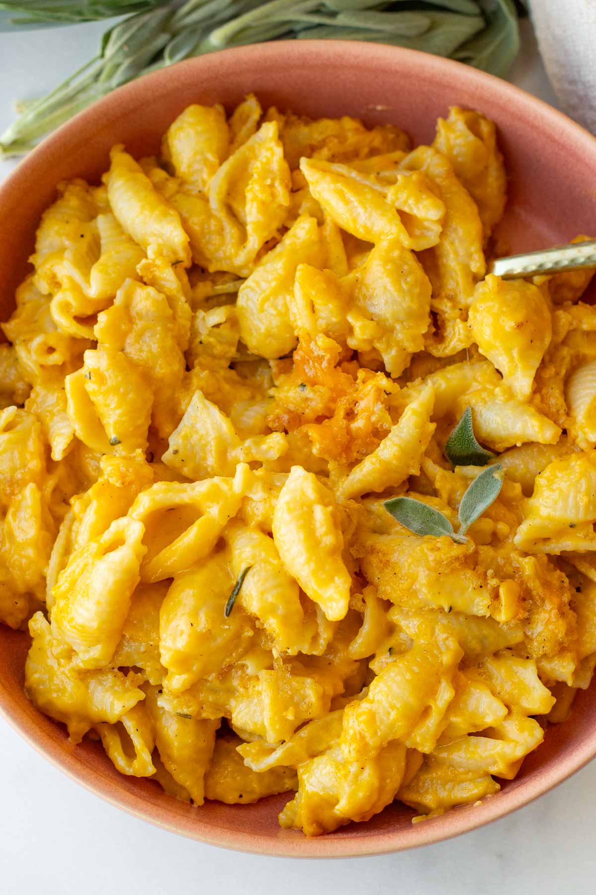 bowl of butternut squash mac and cheese