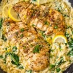 one pan lemon chicken orzo with spinach and creamy sauce
