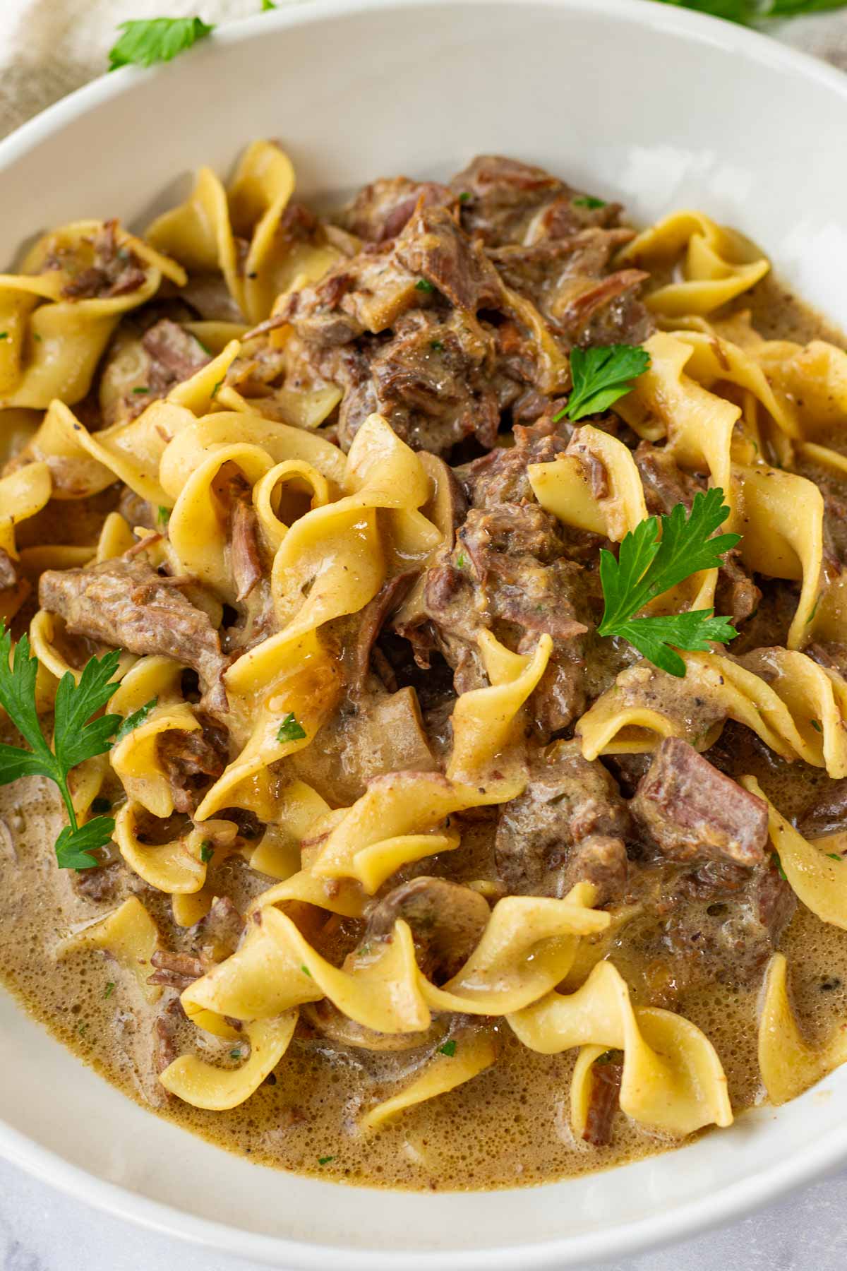 bowl of beef stroganoff with egg noodles